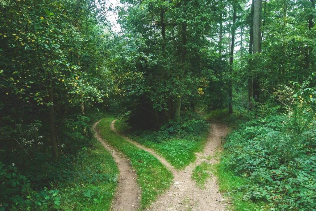 two paths in recruiting