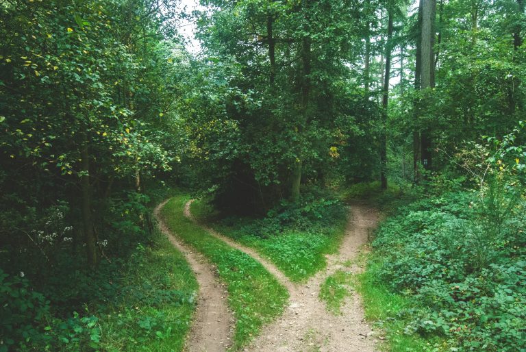 two paths in recruiting